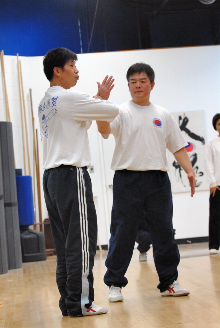 Workshop by Ji Hong Tai Chi College founder and principal Master Luo Hong Yuan