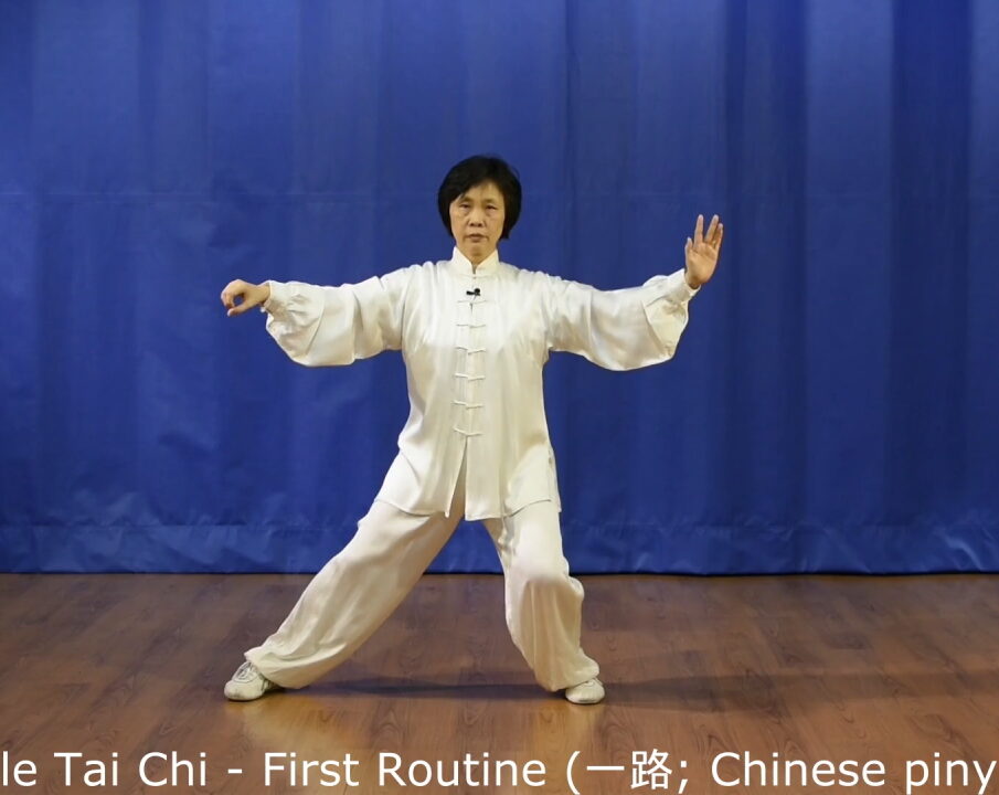 What is Chen Style Tai Chi?