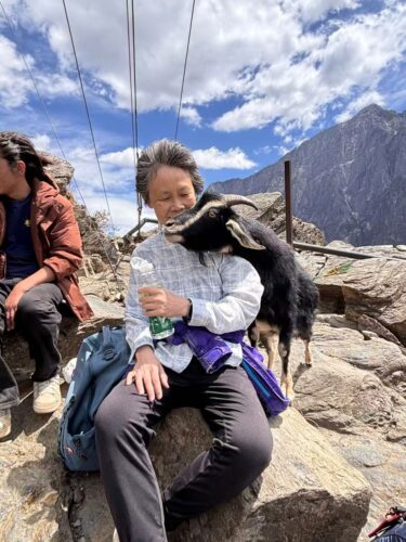 Yunnan-Goat.jpg