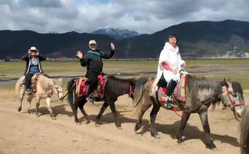 Yunnan-Horse2.png